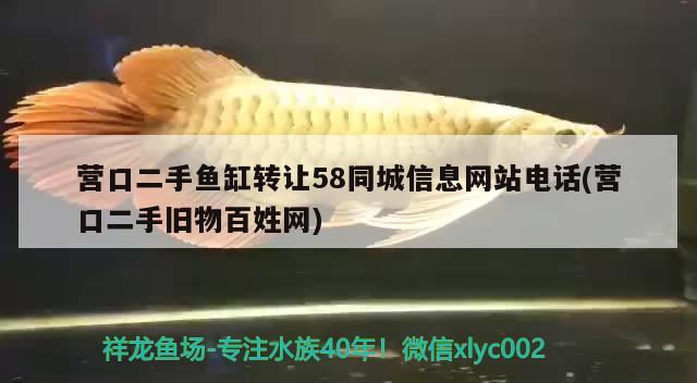 營口二手魚缸轉(zhuǎn)讓58同城信息網(wǎng)站電話(營口二手舊物百姓網(wǎng)) 廣州觀賞魚魚苗批發(fā)市場