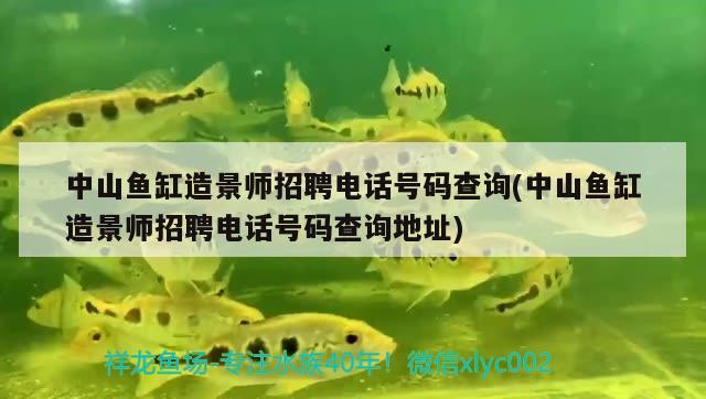 中山魚缸造景師招聘電話號碼查詢(中山魚缸造景師招聘電話號碼查詢地址)