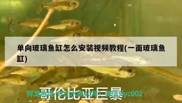 單向玻璃魚(yú)缸怎么安裝視頻教程(一面玻璃魚(yú)缸)