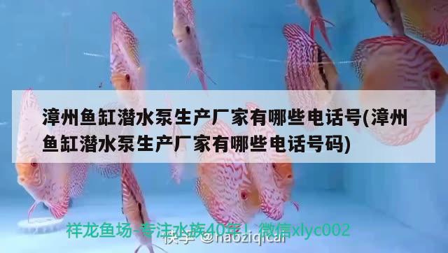 漳州魚缸潛水泵生產(chǎn)廠家有哪些電話號(hào)(漳州魚缸潛水泵生產(chǎn)廠家有哪些電話號(hào)碼)