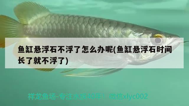 魚缸懸浮石不浮了怎么辦呢(魚缸懸浮石時間長了就不浮了)