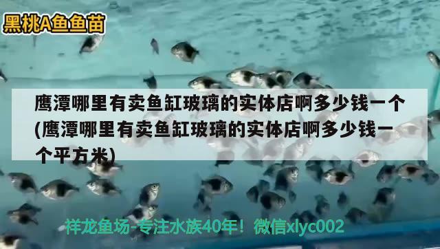 鷹潭哪里有賣魚缸玻璃的實(shí)體店啊多少錢一個(gè)(鷹潭哪里有賣魚缸玻璃的實(shí)體店啊多少錢一個(gè)平方米)