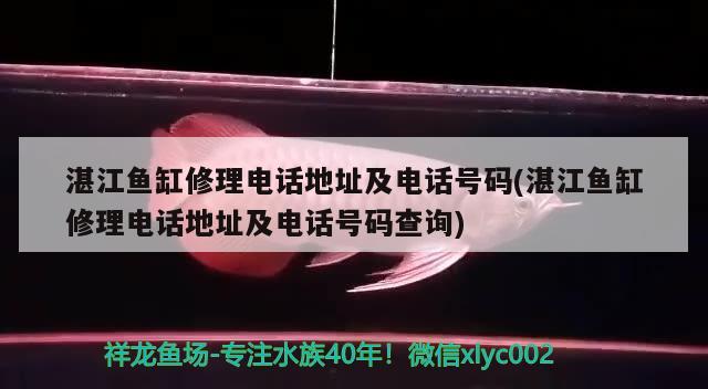 湛江魚(yú)缸修理電話地址及電話號(hào)碼(湛江魚(yú)缸修理電話地址及電話號(hào)碼查詢)