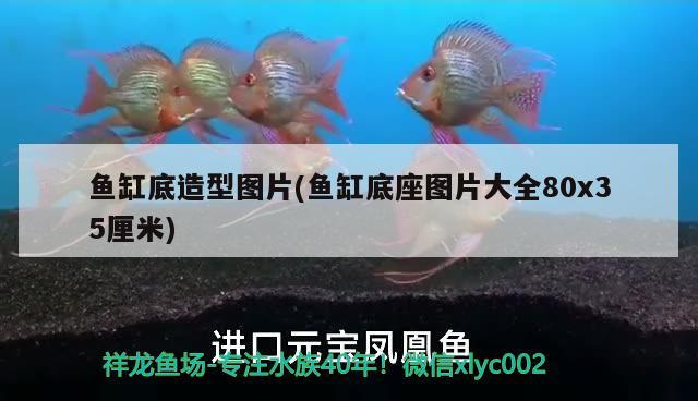 魚缸底造型圖片(魚缸底座圖片大全80x35厘米) 除藻劑