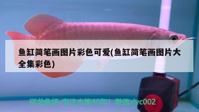 魚缸簡筆畫圖片彩色可愛(魚缸簡筆畫圖片大全集彩色) 黑白雙星魚