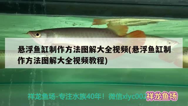 懸浮魚缸制作方法圖解大全視頻(懸浮魚缸制作方法圖解大全視頻教程)