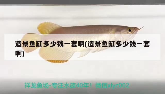 造景魚缸多少錢一套啊(造景魚缸多少錢一套啊)