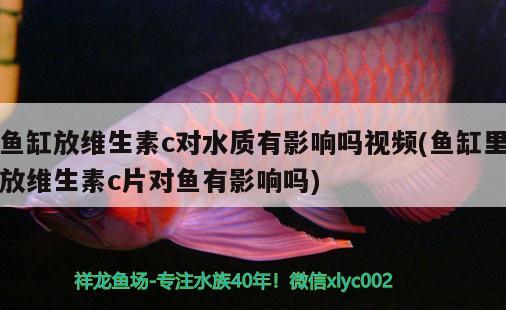 魚缸放維生素c對(duì)水質(zhì)有影響嗎視頻(魚缸里放維生素c片對(duì)魚有影響嗎)