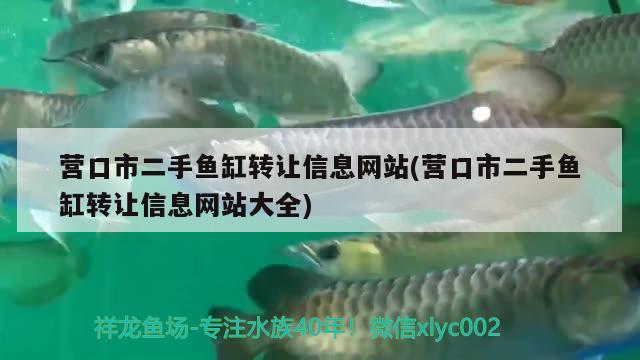 營(yíng)口市二手魚缸轉(zhuǎn)讓信息網(wǎng)站(營(yíng)口市二手魚缸轉(zhuǎn)讓信息網(wǎng)站大全)