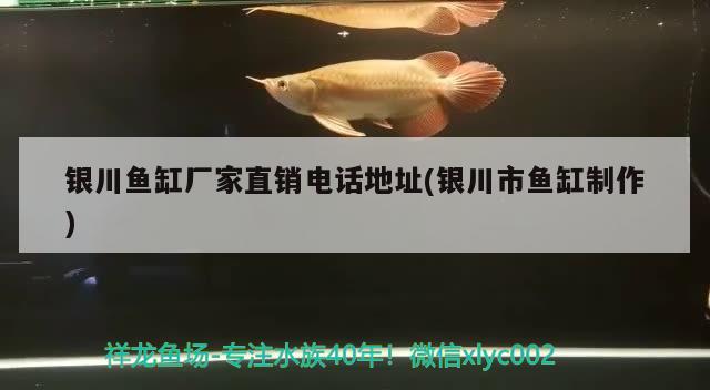 銀川魚缸廠家直銷電話地址(銀川市魚缸制作) 養(yǎng)魚知識