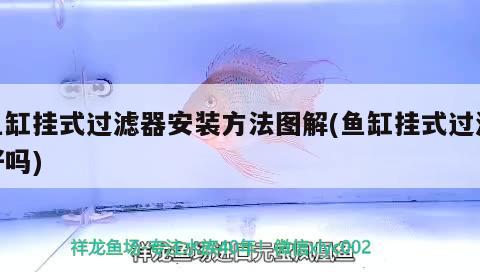 魚缸掛式過濾器安裝方法圖解(魚缸掛式過濾好嗎)