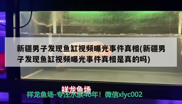 新疆男子發(fā)現魚缸視頻曝光事件真相(新疆男子發(fā)現魚缸視頻曝光事件真相是真的嗎) 養(yǎng)魚知識