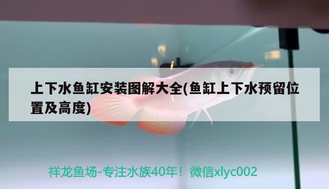 上下水魚缸安裝圖解大全(魚缸上下水預(yù)留位置及高度) 黑白雙星魚