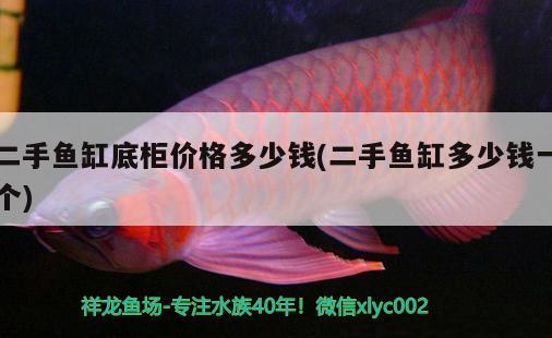 二手魚(yú)缸底柜價(jià)格多少錢(二手魚(yú)缸多少錢一個(gè)) 元寶鯽