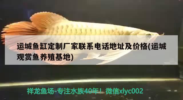 運(yùn)城魚缸定制廠家聯(lián)系電話地址及價(jià)格(運(yùn)城觀賞魚養(yǎng)殖基地) 雙線側(cè)魚