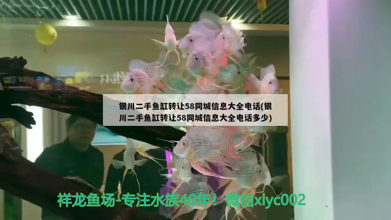 銀川二手魚缸轉(zhuǎn)讓58同城信息大全電話(銀川二手魚缸轉(zhuǎn)讓58同城信息大全電話多少)