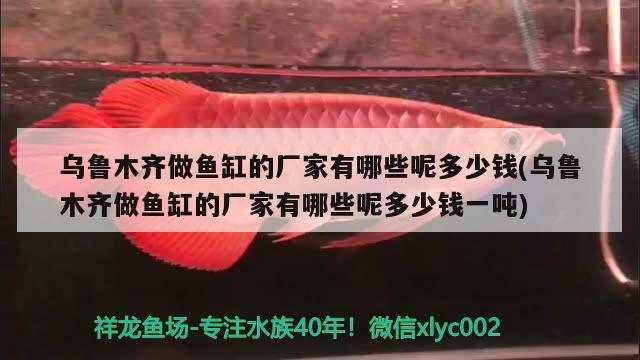 烏魯木齊做魚缸的廠家有哪些呢多少錢(烏魯木齊做魚缸的廠家有哪些呢多少錢一噸)