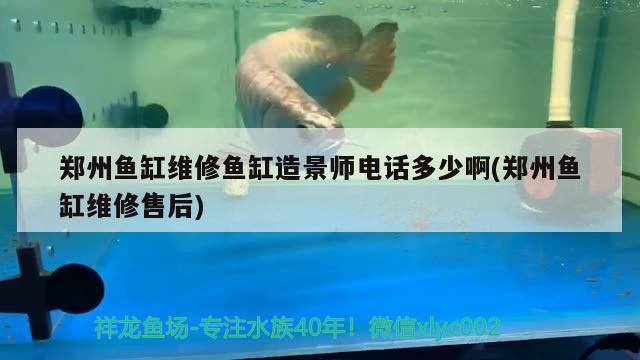 鄭州魚缸維修魚缸造景師電話多少啊(鄭州魚缸維修售后)