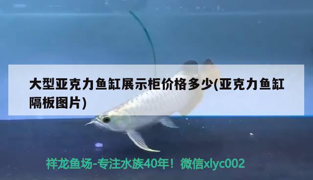 大型亞克力魚缸展示柜價格多少(亞克力魚缸隔板圖片) 恐龍王魚