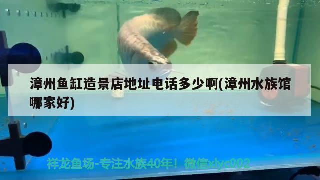 漳州魚缸造景店地址電話多少啊(漳州水族館哪家好)