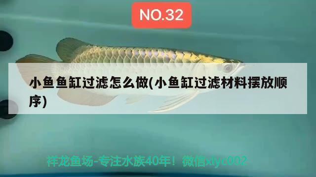 小魚魚缸過濾怎么做(小魚缸過濾材料擺放順序)