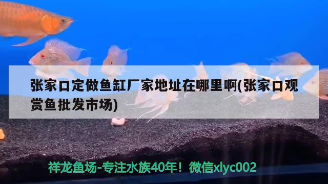 張家口定做魚缸廠家地址在哪里啊(張家口觀賞魚批發(fā)市場)