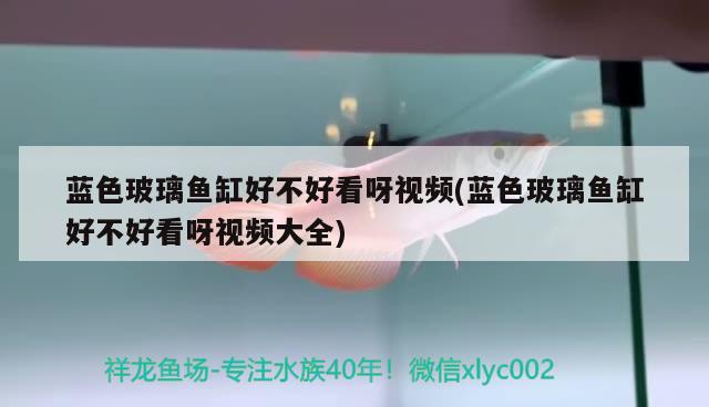 藍色玻璃魚缸好不好看呀視頻(藍色玻璃魚缸好不好看呀視頻大全)