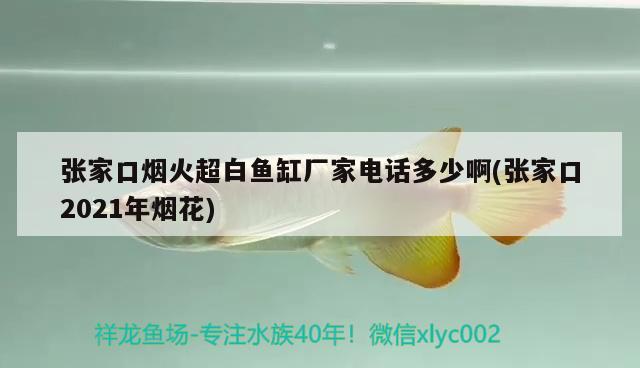 張家口煙火超白魚缸廠家電話多少啊(張家口2021年煙花) 龍魚批發(fā)