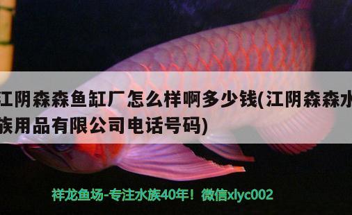 江陰森森魚缸廠怎么樣啊多少錢(江陰森森水族用品有限公司電話號碼)