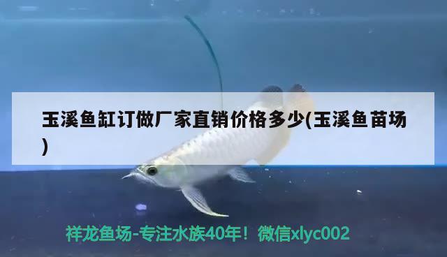 玉溪魚缸訂做廠家直銷價(jià)格多少(玉溪魚苗場(chǎng))