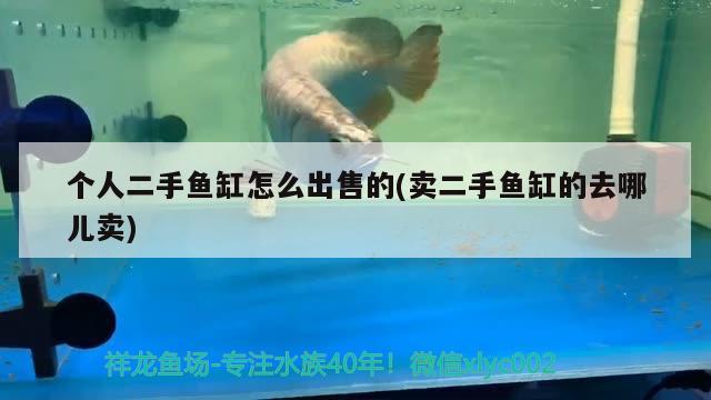 個人二手魚缸怎么出售的(賣二手魚缸的去哪兒賣)