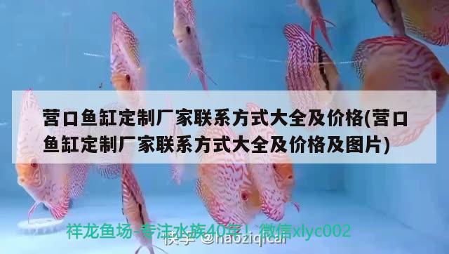 營口魚缸定制廠家聯(lián)系方式大全及價格(營口魚缸定制廠家聯(lián)系方式大全及價格及圖片) 七彩神仙魚