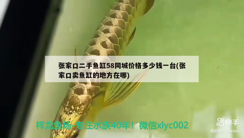 張家口二手魚(yú)缸58同城價(jià)格多少錢一臺(tái)(張家口賣魚(yú)缸的地方在哪)