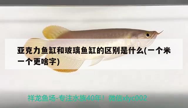 亞克力魚缸和玻璃魚缸的區(qū)別是什么(一個米一個更啥字) 鐵甲武士