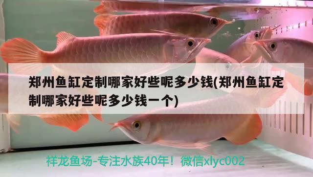 鄭州魚缸定制哪家好些呢多少錢(鄭州魚缸定制哪家好些呢多少錢一個(gè)) 野彩魚