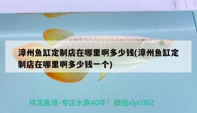 漳州魚缸定制店在哪里啊多少錢(漳州魚缸定制店在哪里啊多少錢一個)