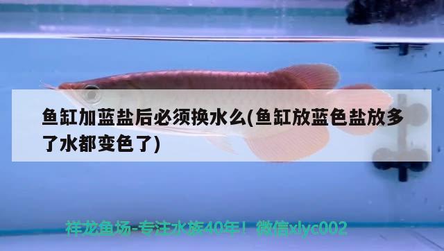 魚缸加藍鹽后必須換水么(魚缸放藍色鹽放多了水都變色了) 白子關刀魚苗