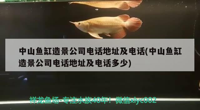 中山魚缸造景公司電話地址及電話(中山魚缸造景公司電話地址及電話多少) 白寫錦鯉魚