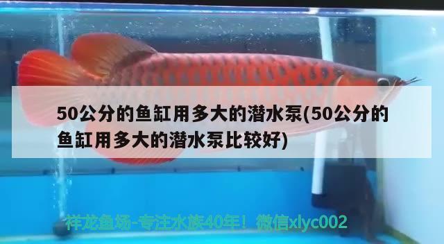 50公分的魚缸用多大的潛水泵(50公分的魚缸用多大的潛水泵比較好)