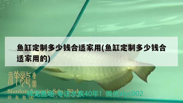 魚缸定制多少錢合適家用(魚缸定制多少錢合適家用的)