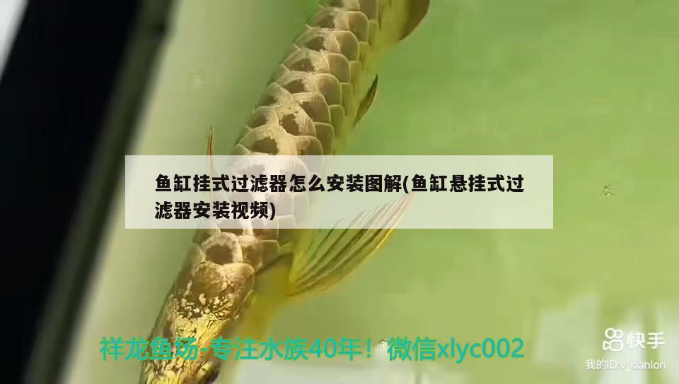 魚缸掛式過濾器怎么安裝圖解(魚缸懸掛式過濾器安裝視頻) 金龍魚糧