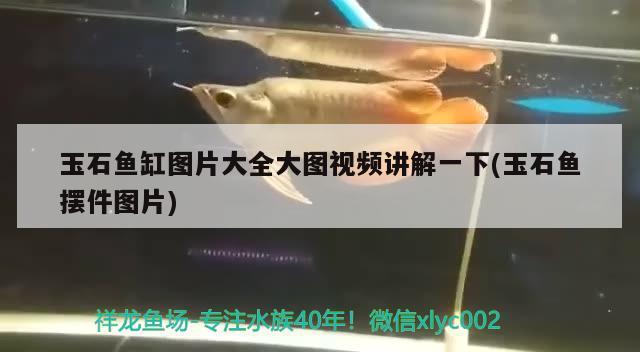 玉石魚缸圖片大全大圖視頻講解一下(玉石魚擺件圖片) 魚缸百科