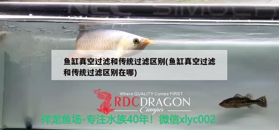 魚缸真空過濾和傳統(tǒng)過濾區(qū)別(魚缸真空過濾和傳統(tǒng)過濾區(qū)別在哪) 紅龍福龍魚