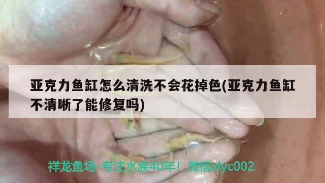 亞克力魚缸怎么清洗不會花掉色(亞克力魚缸不清晰了能修復(fù)嗎) 觀賞龜/鱉飼料