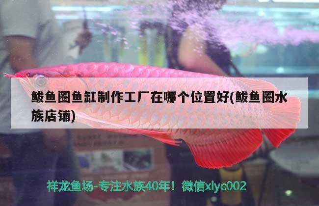 鲅魚圈魚缸制作工廠在哪個位置好(鲅魚圈水族店鋪) 黑金魟魚