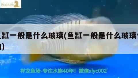 魚缸一般是什么玻璃(魚缸一般是什么玻璃做的) 月光鴨嘴魚苗