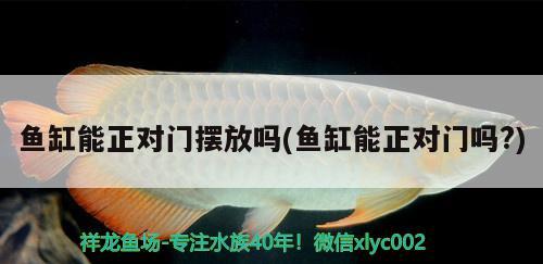 魚缸能正對門擺放嗎(魚缸能正對門嗎?) 水族世界