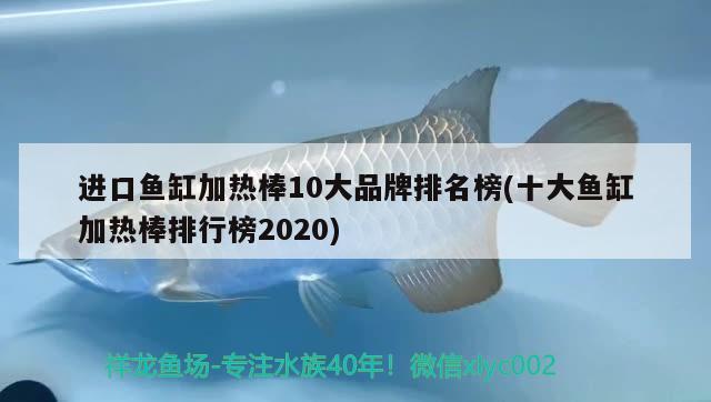 進(jìn)口魚(yú)缸加熱棒10大品牌排名榜(十大魚(yú)缸加熱棒排行榜2020)