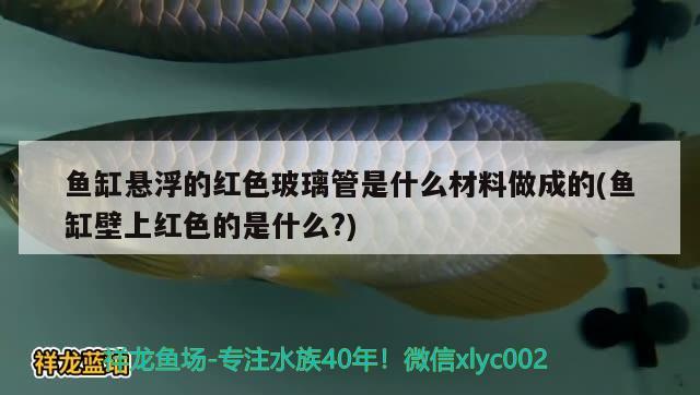 魚缸懸浮的紅色玻璃管是什么材料做成的(魚缸壁上紅色的是什么?) 翡翠鳳凰魚