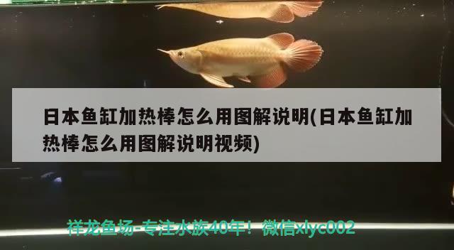 日本魚缸加熱棒怎么用圖解說明(日本魚缸加熱棒怎么用圖解說明視頻)